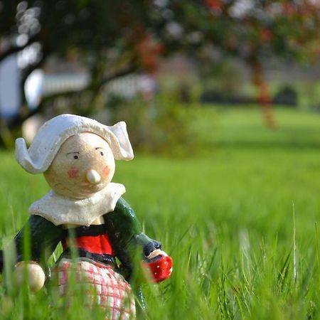 Le Gite De L'Araucaria Ploërdut Екстериор снимка