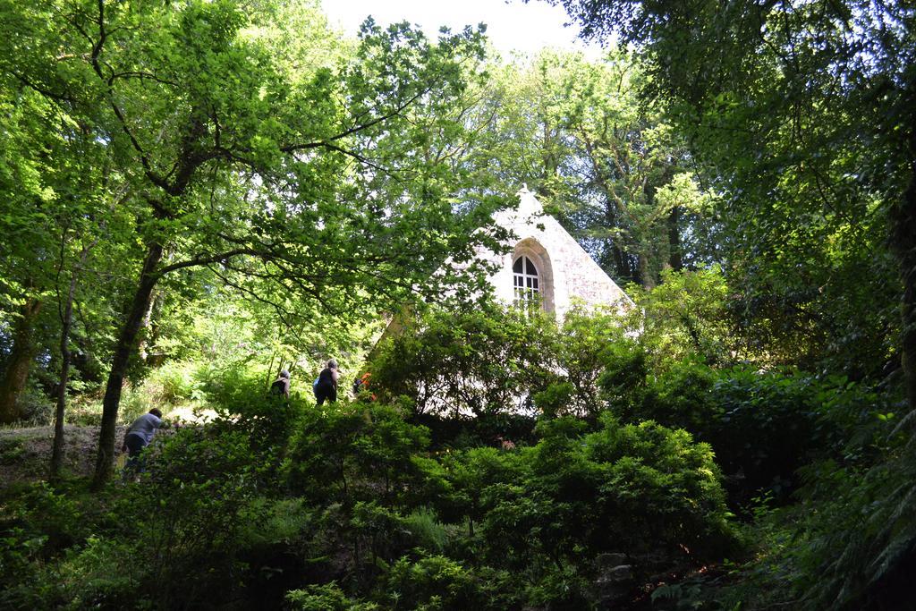 Le Gite De L'Araucaria Ploërdut Екстериор снимка